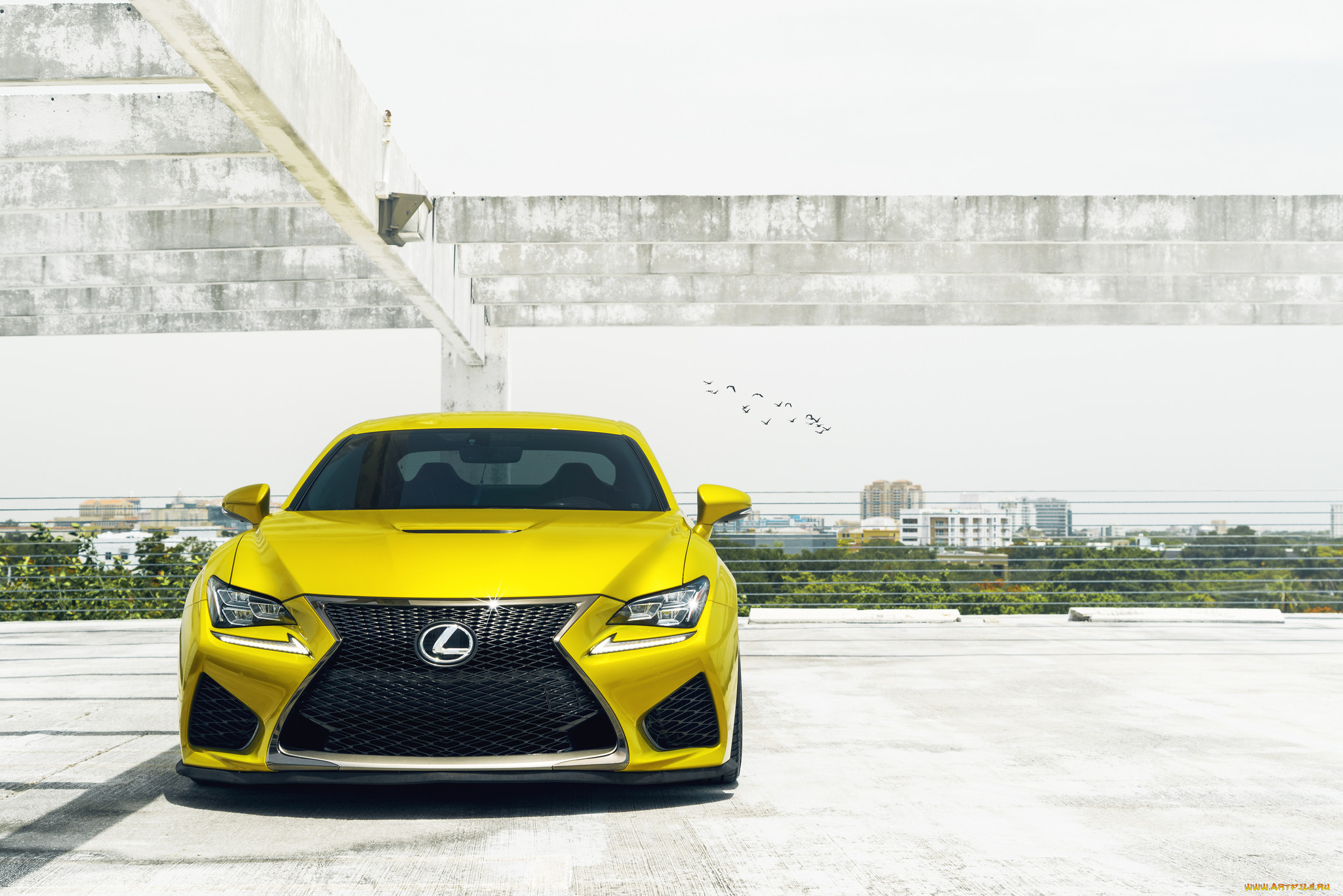 , lexus, yellow, rcf, 